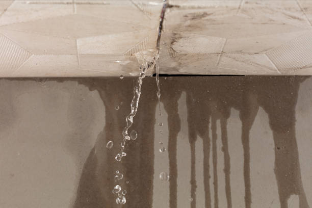 Professional Sewage Cleanup technician working in Sultana, CA